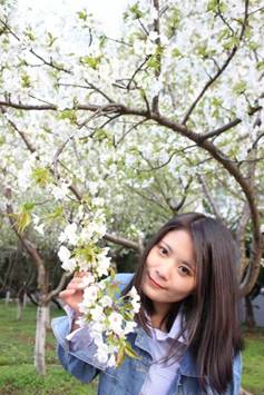 20f72e556bb4bbc47ae9afa8fd1c1c2